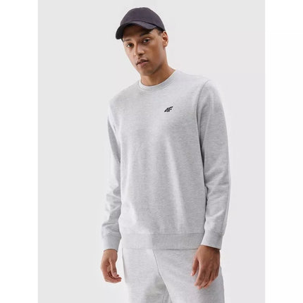 Men's sweatshirt without zipper, without hood, 4F 4FWMM00TSWSM1767-27M