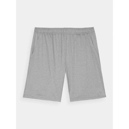Men's 4F quick-drying regular training shorts 4FWAW24TFSHM697-25M