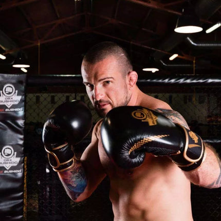 10oz Boxing Gloves - Aureos - Valor Series