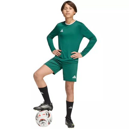 adidas Entrada 26 Long Sleeve Jersey for Kids Green KF5873