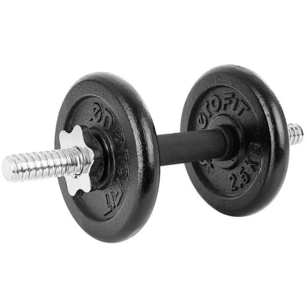 CAST IRON DUMBBELL 19 KG (2x9.5 KG) ENERO FIT CASE