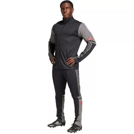 Adidas Squadra 25 Training M JD1630 džemperis