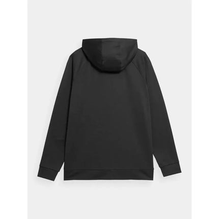 Džemperis 4F M 4FSS23TFSWM112-20S