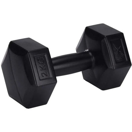 Kompozitinių hantelių rinkinys 2x2KG XQMAX