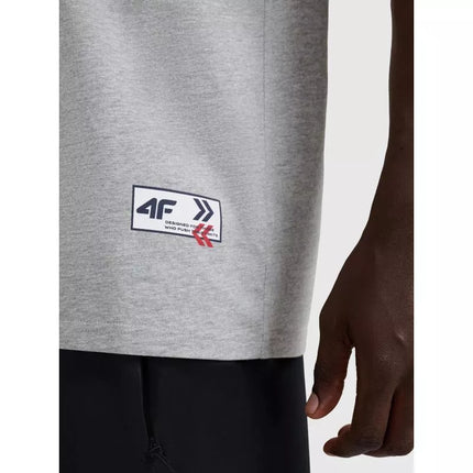 Men's oversize printed T-shirt 4F 4FRAW25TTSHM3257-27M