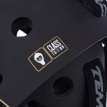 Tempish vartininko kaukė. Klasė 1350020031