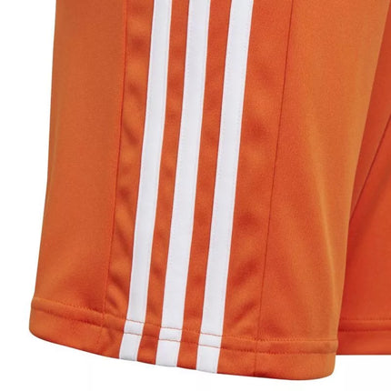 adidas Squadra 21 Jr Šortai GN8082