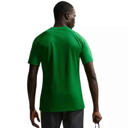 Vyriški Nike Dri-Fit Park VIII marškinėliai žali HV8173 302