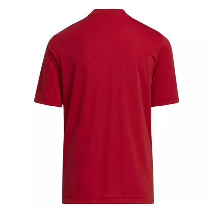 adidas Entrada 22 Grafinis Marškinėliai Jaunesniesiems H58983