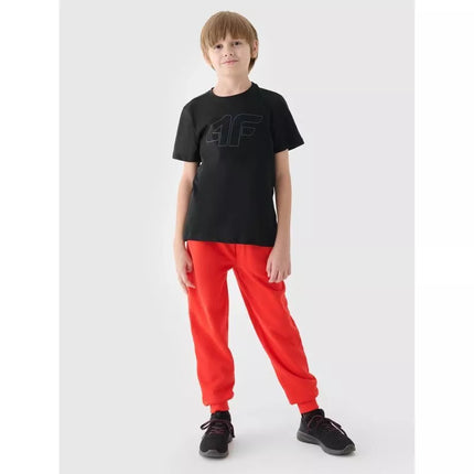 Berniukų margi marškinėliai 4F Junior 4FJWMM00TTSHM1627-20S