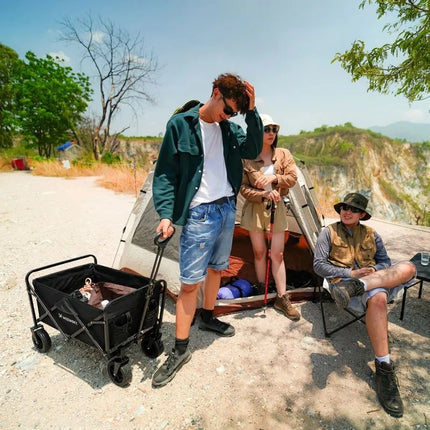 Wozinsky WZP-80 paplūdimio, turistinis, sodo vežimėlis, patvarus, su plačiais ratais, keliamoji galia iki 80 kg - juodas