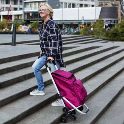 Ekspertinė Premium 604353 Pirkinių Vežimėlis