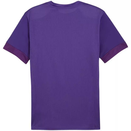 Puma teamGoal Matchday Jersey M 705747 10