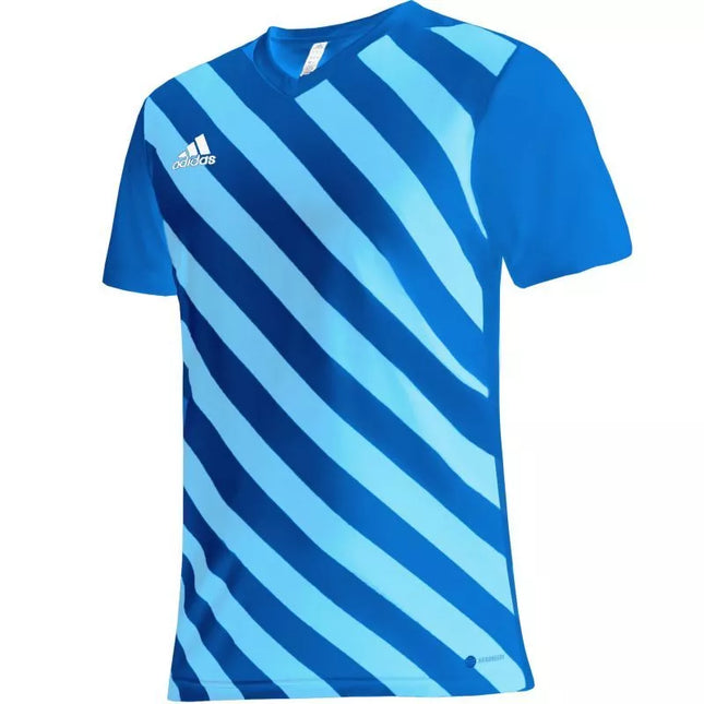 adidas Entrada 22 Graphic Marškinėliai Jaunimui HF0130