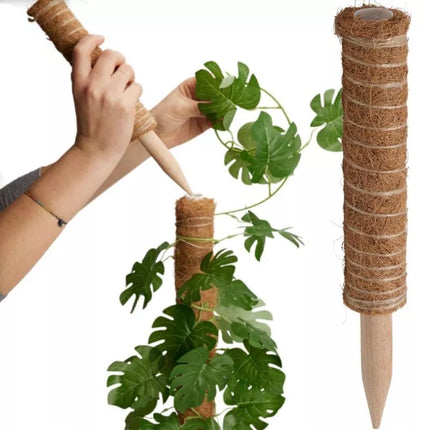 Kokoso augalų atrama 30cm PROGARDEN