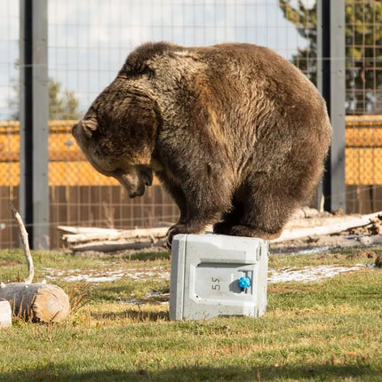 Lifetime 90949 Aušintuvas