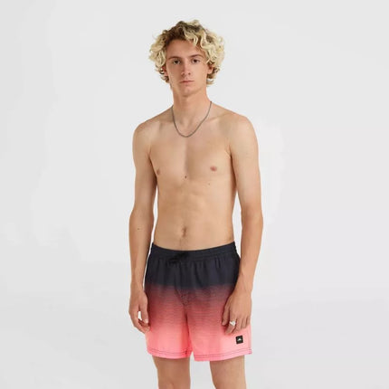 O'Neill Jack Cali Gradient 15'' maudymosi šortai M 92800613579