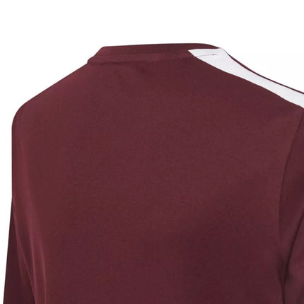 adidas Squadra 21 marškinėliai jaunimui Jr GN8090