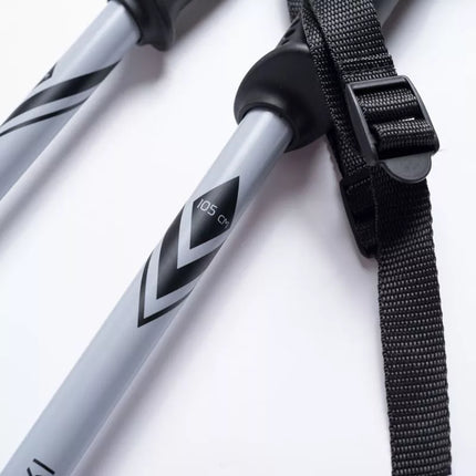 ALPINE SKI II poles