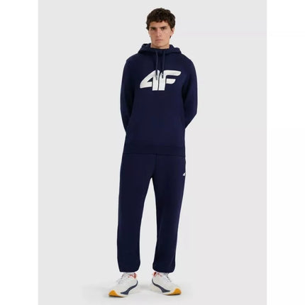 Men's jogger sweatpants 4F 4FRMM00TTROM1625-31S