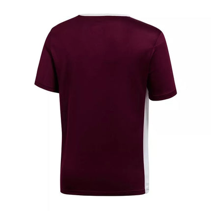 adidas Entrada 18 Jr Marškinėliai CE9564