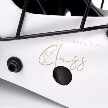 Tempish vartininko kaukė. Klasė 1350020031