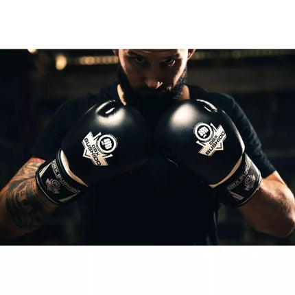 10oz Boxing Gloves - Classic White - Origin Series