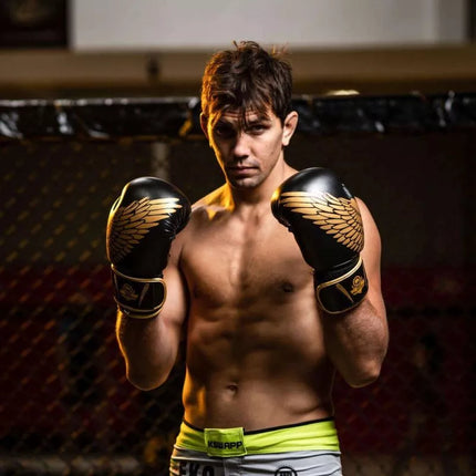 8oz Boxing Gloves - Hawk - Origin Series