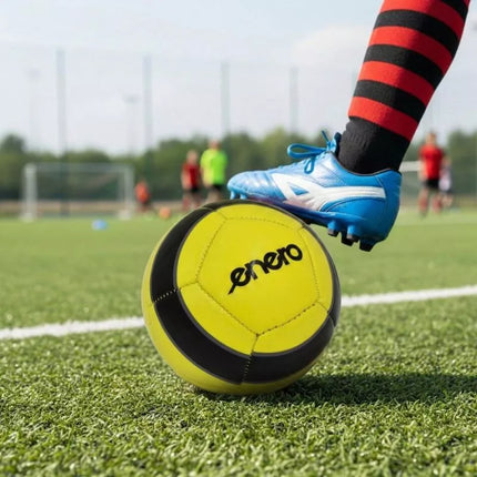 Mini futbolo kamuolys, 12 panelių, R.1 ENERO