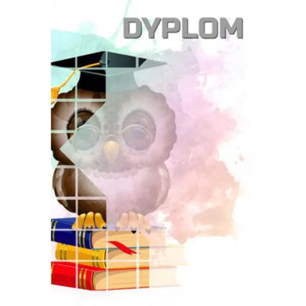 Paper diploma - owl (25 pcs.) DYP157