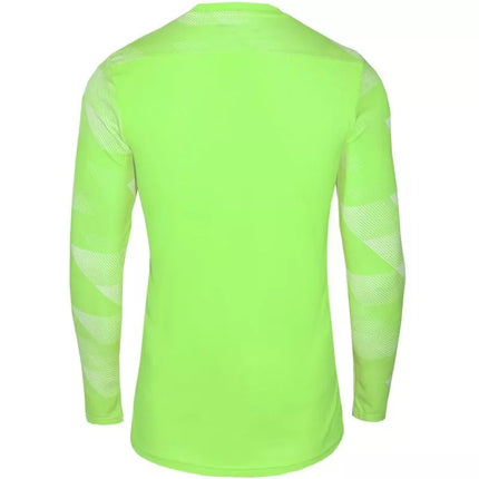 Nike Dry Park IV JSY LS GK Jr CJ6072-702 Marškiniai