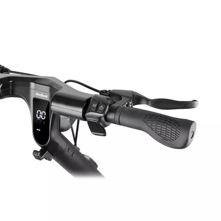 Elektrinis paspirtukas REBEL FAST WHEELS PRO MAX