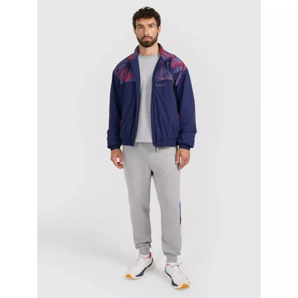 Men's sweatshirt without hood 4F 4FRAW25TSWSM2483-31S