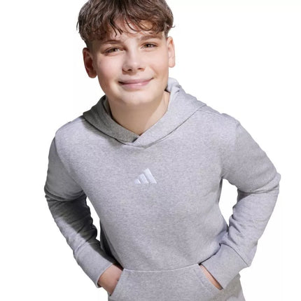 adidas Essentials Hoodie for kids gray JV9995