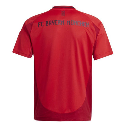 adidas Miuncheno Bayern jaunimo marškinėliai IT2249