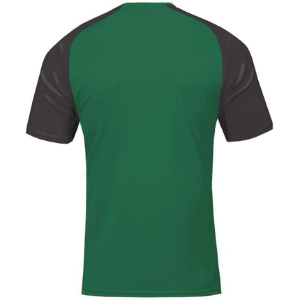 Joma Academy IV Sleeve Football Shirt 101968.451