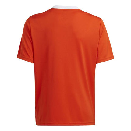 Adidas Team Icon 23 Jr marškinėliai IC1254