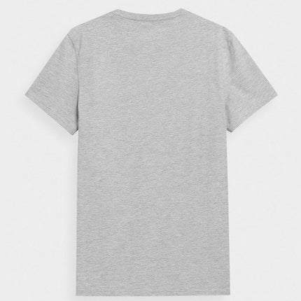 Marškinėliai 4F M 4FSS23TTSHM536 27M