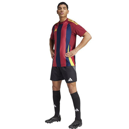 Adidas Striped 24 JSY M marškinėliai IW2149