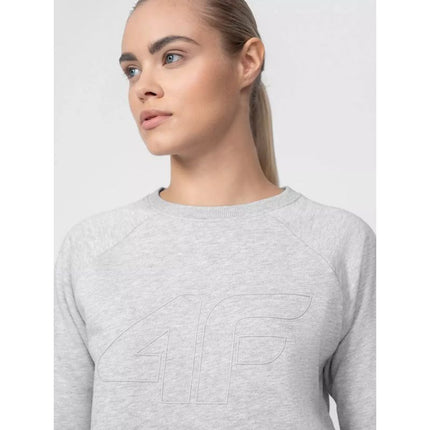 Džemperis 4F W 4FSS23TSWSF370-27M