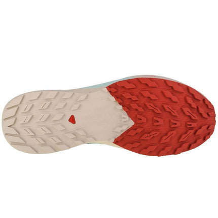 Salomon Sense Ride 5 M 472117 batai