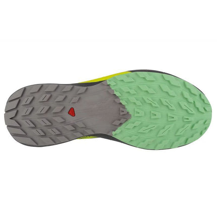 Salomon Sense Ride 5 M 471442 Bėgimo Bateliai