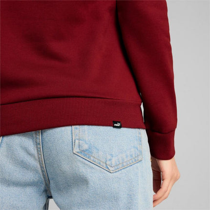 Puma Ess+ Logo LAB flisinis džemperis su gobtuvu moterims 682987 13