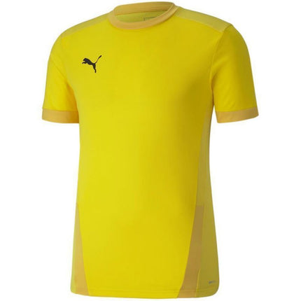 Puma teamGOAL 23 Džersis M 704171 07