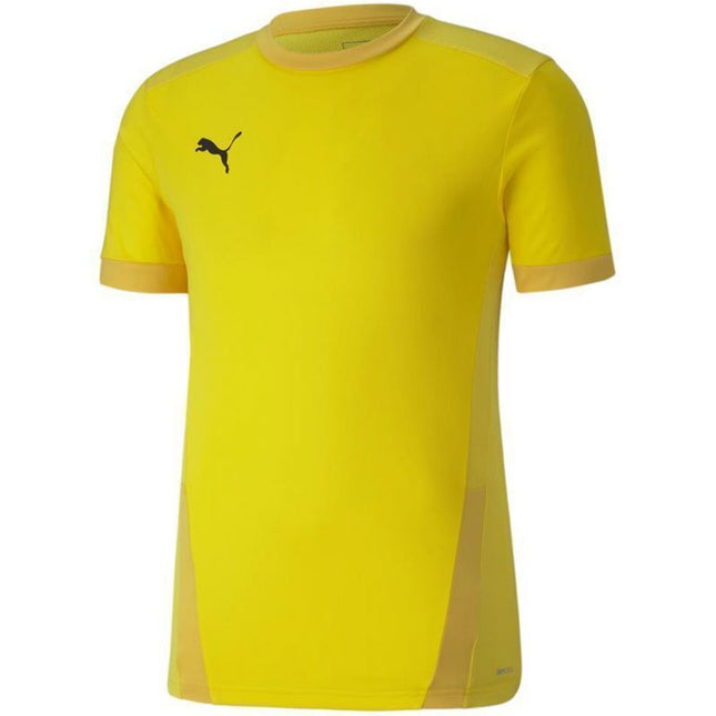 Puma teamGOAL 23 Džersis M 704171 07