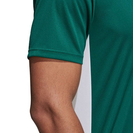 adidas Entrada 18 Jaunes marškinėliai CD8358