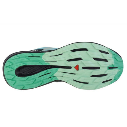 Salomon Pulsar Trail W 472104 Bėgimo bateliai