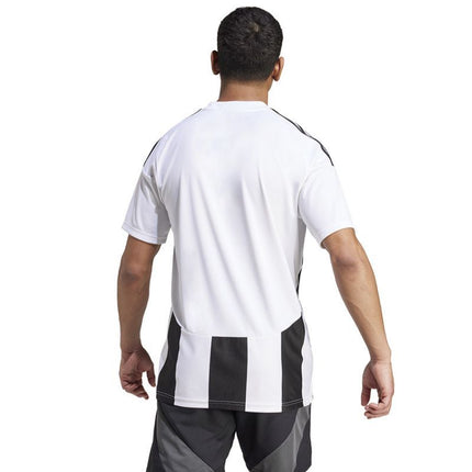 Adidas Striped 24 JSY M marškinėliai IW2143