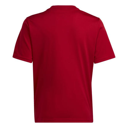 adidas Team Icon 23 Jaunimo Marškinėliai HR2652