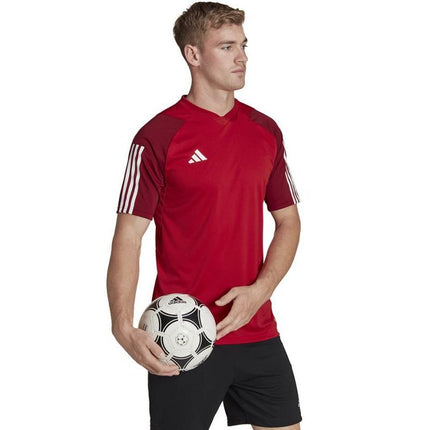adidas Tiro 23 Competition Marškinėliai M HE5661